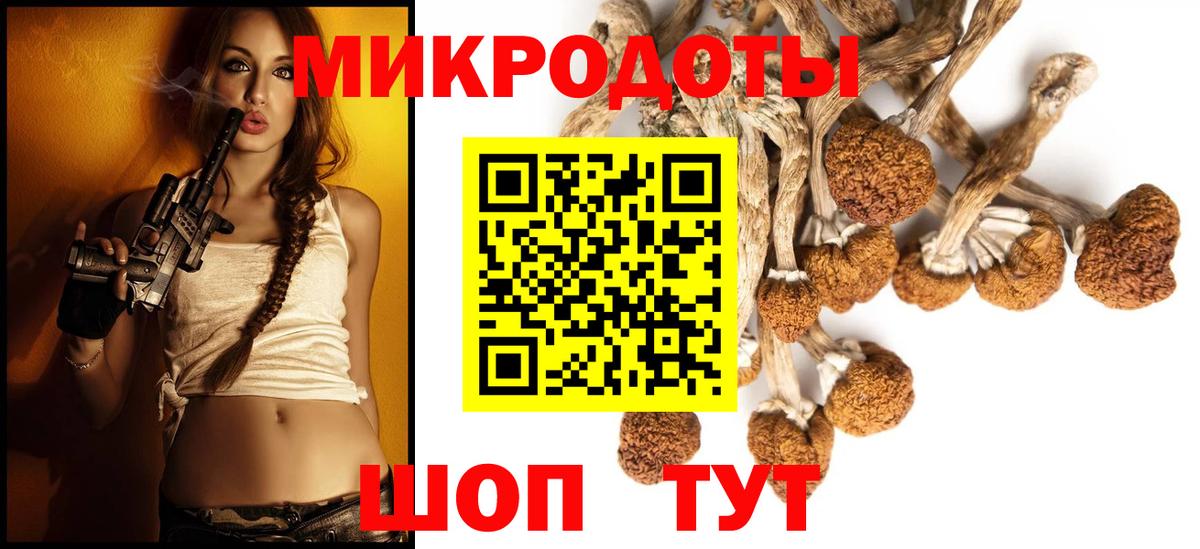 Артём  Галлюциногенные грибы MAGIC MUSHROOMS  что такое наркотик  Вход с VPN 